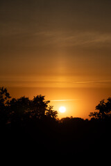 the morning sun in an orange sky. dark trees in the background