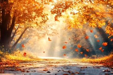 Fototapeta premium Sunlit pathway through vibrant autumn trees