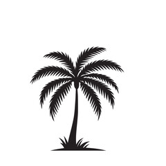 Palm tree vector design isolated on white background. Palm tree logo, icon, sign. Tropical palm tree illustration.
