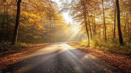 Naklejka premium A road leading through a vibrant autumn forest, with sunlight filtering through the leaves.