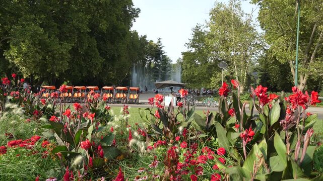 gardens of Margaret Island in Budapest