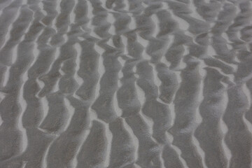 Wet brown sand on the beach in summer, Beautiful structure texture on the sand with lines or ripples, Nature pattern with free copy space, Can be used as background, Display or montage your products.