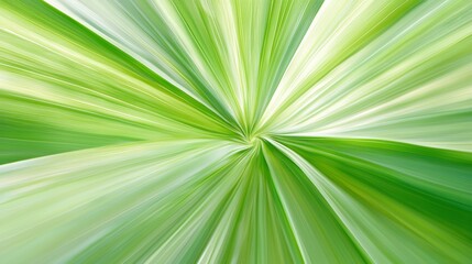 Obraz premium Organic green lines converging symmetrically toward the center, like the abstract rays of the sun filtered through leaves