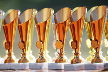 Award trophies waiting for competitors after amateur equestrian championship in row. Golden silver...