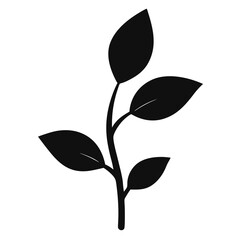 Black Silhouette Line Art Plant Vector.