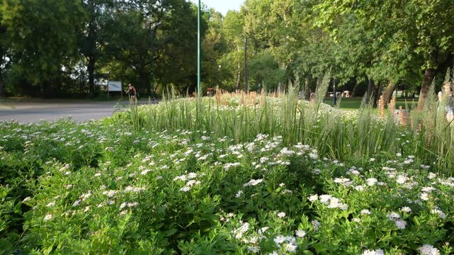 gardens of Margaret Island in Budapest