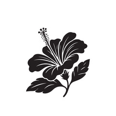 Hibiscus flower vector silhouette. Hibiscus logo, icon vector design. hibiscus flower illustration isolated on white background.