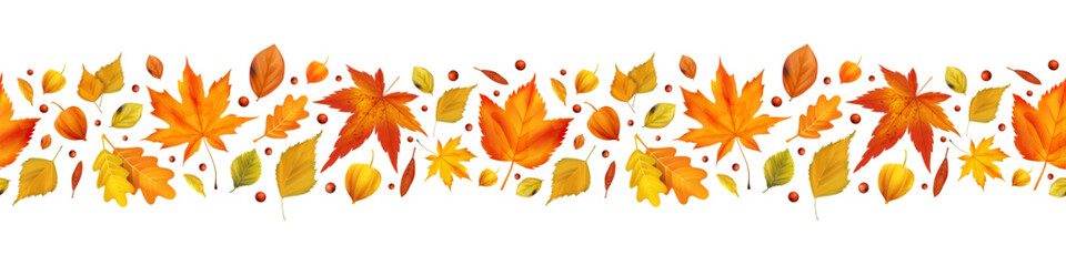 Naklejka premium Frame leaf autumn. Background maple. Texture foliage design banner. Forest seamless orange leaves. Thanksgiving graphic border. Botanical organic herbarium. Vector realistic isolated illustration