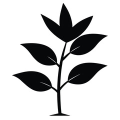 Black Silhouette Line Art Plant Vector.