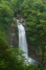 Obraz premium 宮城県秋保大滝の風景 Akiu Waterfall in Miyagi Japan