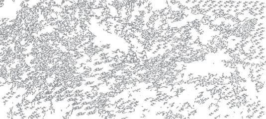 Abstract grunge black and white distressed texture. Vector Illustration.