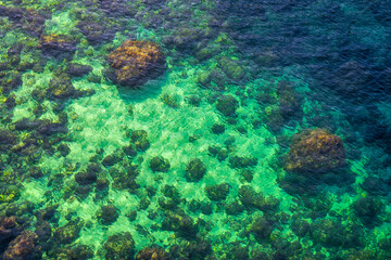 Seabed of Lama Monachile