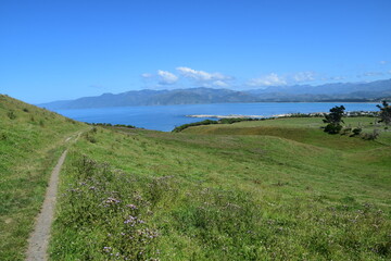 Fototapeta premium Hiking along the stunning coastline of the Kaikoura Peninsula Walkway on the South Island, New Zealand