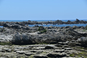 Hiking along the stunning coastline of the Kaikoura Peninsula Walkway on the South Island, New Zealand