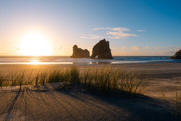 Grass patch and Archway Islands view at Wharariki Beach, New Zealand.