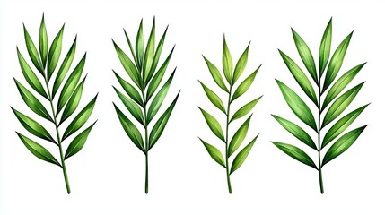 Obraz premium A collection of various green leaves arranged in an artistic manner, perfect for nature-themed designs and projects.