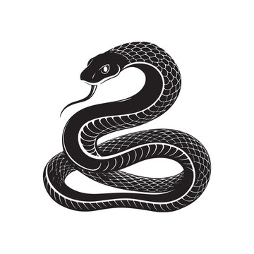 recommend clip art: snake vector, art silhouette logo design black and white style template 