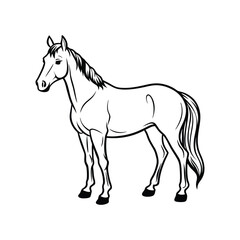 Line out horse icon, vector stock modern horse on white background.
