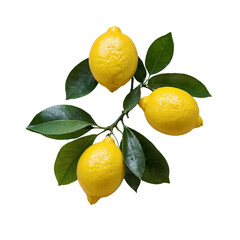 Lemon Healthy organic natural fresh citrus fruit concept AI generated and PNG transparent