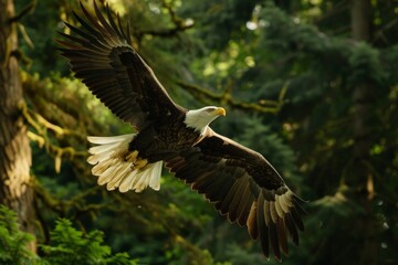 Obraz premium a magnificent bald eagle, its white head gleaming in the sun, soared high above them. the Great Spirit. enchanting, magic