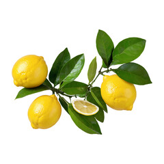 Lemon Healthy organic natural fresh citrus fruit concept AI generated and PNG transparent