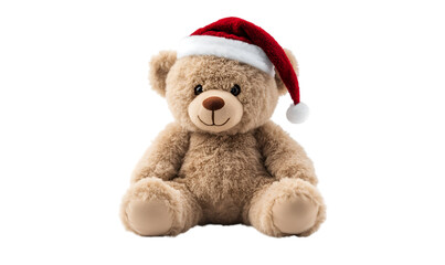 a teddy bear wearing a santa hat