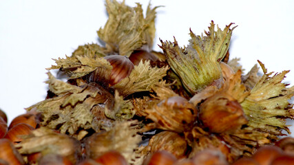 Obraz premium Unshelled hazelnuts . High quality photo