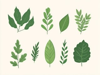 Naklejka premium Collection of Various Green Leaves.