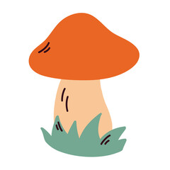 Autumn illustration with a bright orange mushroom growing in grass. Seasonal cozy designs. Isolated on white background. Fall decorations, forest-themed prints. Cottage core style. Harvest season.