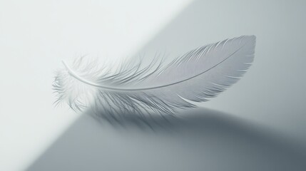 Fototapeta premium Minimalist close-up of a single feather lying on a smooth, white surface, with delicate shadows and subtle textures, symbolizing lightness and grace, 4K hyperrealistic photo.