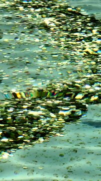 La fontana di Trevi durante la raccolta delle monete lanciate dai turisti a Roma.
Operai recuperano le monete lanciate dentro la fontana dai turisti in visita a Roma, Italia. 