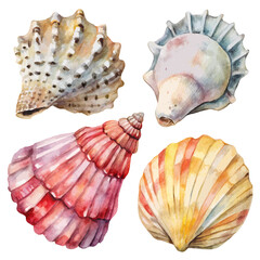 Fototapeta premium Watercolor Seashells Set of 4