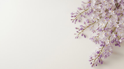 A horizontally curling vine adorned with delicate purple flowers, gracefully hanging against a crisp white background. photo