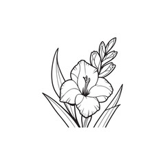 Gladiolus Flower with Leaves - Detailed Black Outline Vector on White