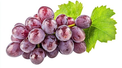 Fototapeta premium Close-Up of Fresh violet Grapes with Water Droplets on Isolated White Background