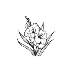 Hand-Drawn Gladiolus Plant - Isolated Black Outline Flower Illustration.