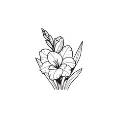 Isolated Gladiolus Flower and Leaves - Vector Illustration in Black Outline.