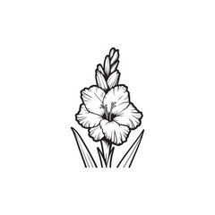 Isolated Gladiolus Flower and Leaves - Vector Illustration in Black Outline.
