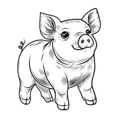 Sketch of a pig. Standing. In line art style. Vintage illustration. Element for label, packaging and postcard design.