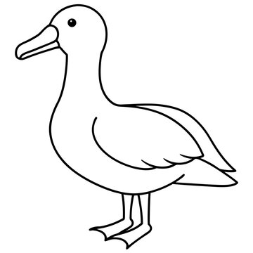 recommend clip art: albatross line art vector on white background