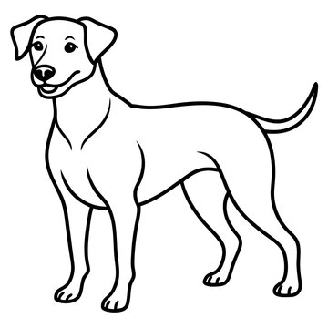 recommend clip art: dog line art vector illustration