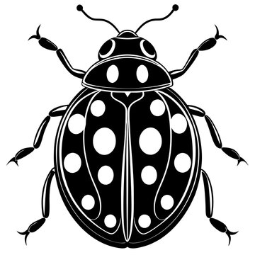 black and white ladybug insect clip art preview