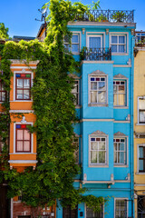 Naklejka premium Türkiye. Istanbul. lush foliage separates the colorful houses of Balat district