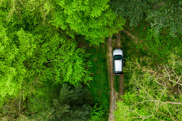 grey car driving down a forest road. road through beautiful green forest. seen from the air. Aerial top view landscape. drone photography.