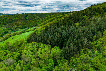 Aerial top view forest tree, Rainforest ecosystem and healthy environment concept and background,...