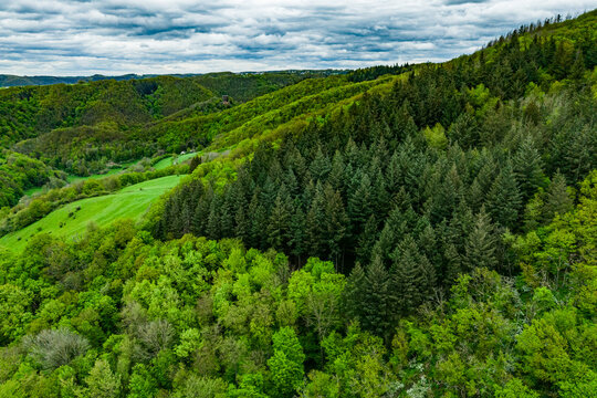 Aerial top view forest tree, Rainforest ecosystem and healthy environment concept and background, Texture of green tree forest view from above
