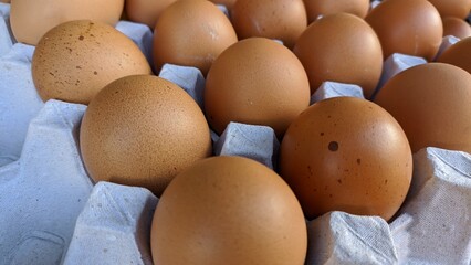 eggs in carton box . A collection of chicken eggs sold in supermarkets
