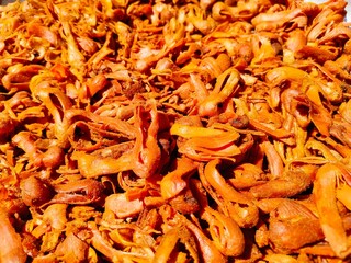 A top view of a pile of Javitri Spice(nutmeg)