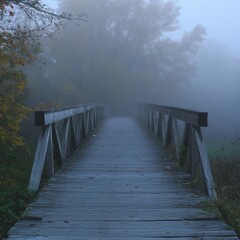 49. A fog-covered bridge with no visible end in sight, [uncertainty], [crossing into the unknown]