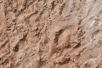 Background of beige, brown beach sand with natural pattern background. top view, flat lay. copy space, close up
